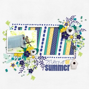 Signs of Summer