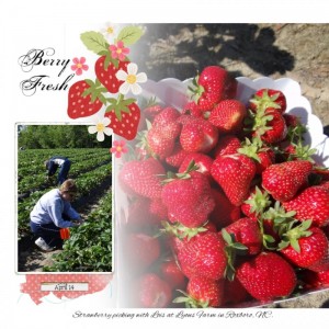 Strawberries - left page