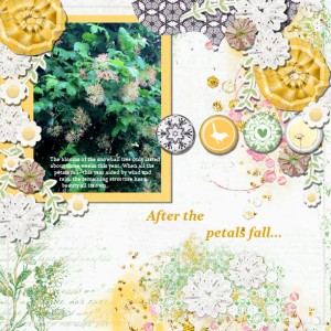 After The Petals Fall