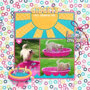 Gidget's First Swimming Pool