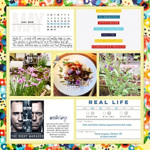 16-wk-21-A-Bordered