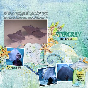 2014-Aquarium-Stingray BYOC