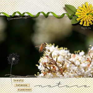 Nature (June Photo Challenge - neg space)