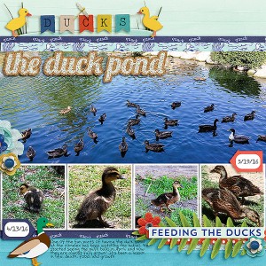 2016-Duck-Pond