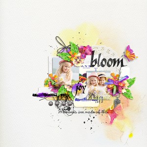 Bloom