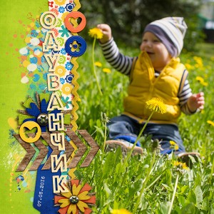 Dandelions