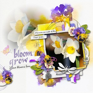 Flower Garden