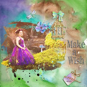 Wishmaker