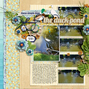 The Duck Pond