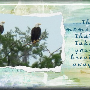 ATC-2016-26----The-Moments