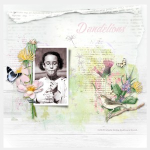 Dandelions (Kay)