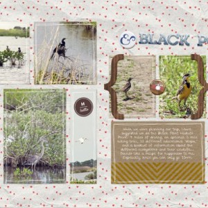 Black Point Drive