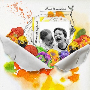 Love Blooms Here