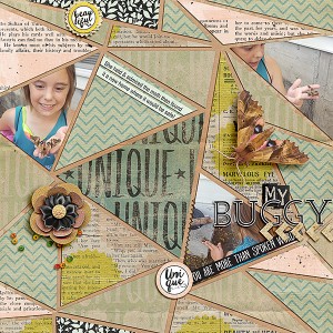 Buggy Pg2
