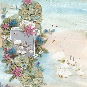 Swan-Lake