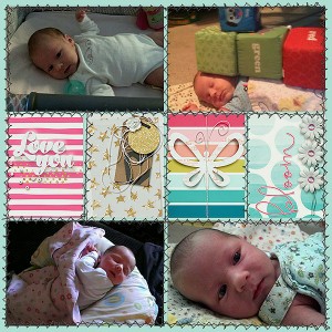 Kaydee week 4 l