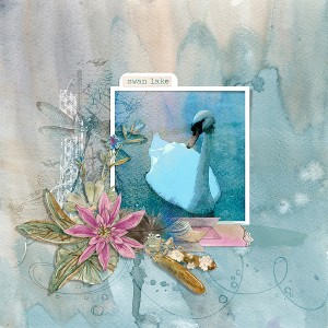 swan lake