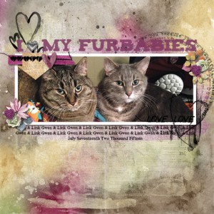 My Furbabies