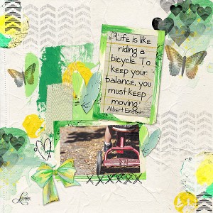 life-is-like-riding-a-bike