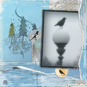 WINTER BIRDS