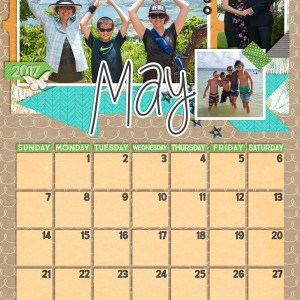 2017 Calendar-May