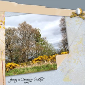 Spring-inverness