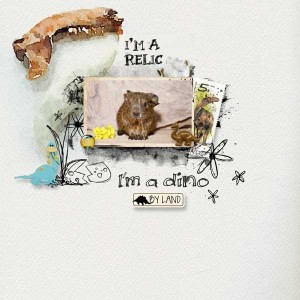 I´m a relic