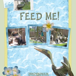 Feed-Me!