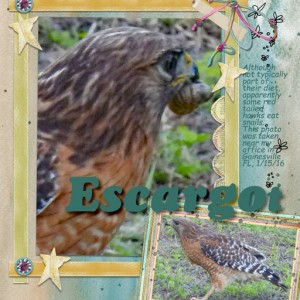 Escargot