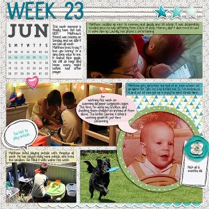 2016-Week-23-left