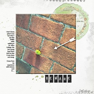 1606-Photography-Challenge-Beware