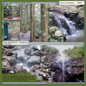 June---journal_Protestors-Falls