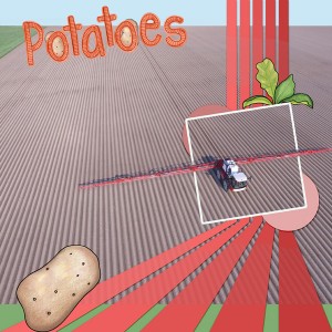 Potatoes