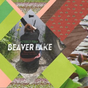 Beaver Lake in Stanley Park