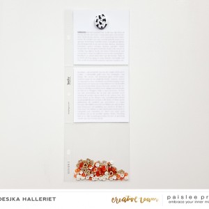 Paislee-pocketguideno1-layoutbyAnnoesjka 04