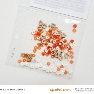 Paislee-pocketguideno1-layoutbyAnnoesjka 05