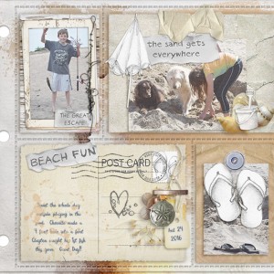 6-17 L&S-BeachDInskip_Ronda