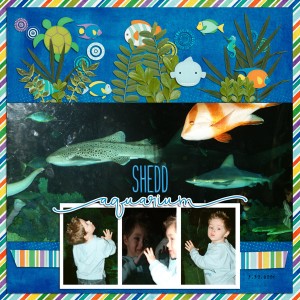 Shedd Aquarium