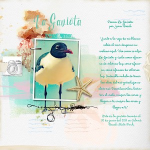 La Gaviota (The Seagull)