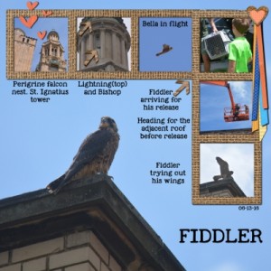 Fiddler Release Scaled