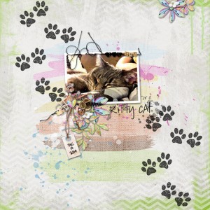 Kitty Cat