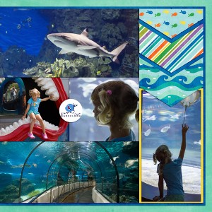 Aquarium - Right