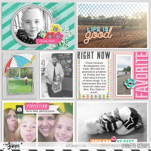 2016 week 20 - left side
