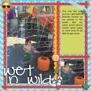 Wet-n-wildWeb