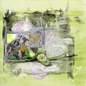baby roadrunner with Dawn's templates