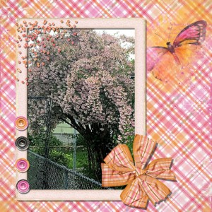 Pink Tree