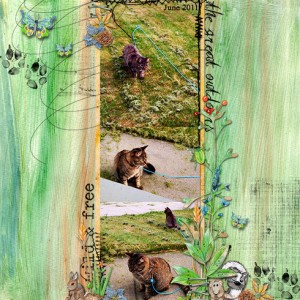 Wild & Free