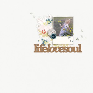 Live Love Soul