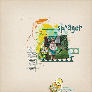 Sprayer