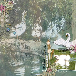 Swan Pond